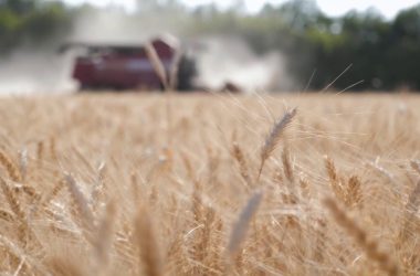 Agroalimentare, nel primo trimestre l’export supera i 6 mld