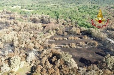 Ricognizione con i droni sul Carso goriziano dopo l’incendio