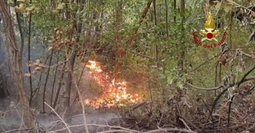 Incendio sul Monte Arsiccio, vigili del fuoco all’opera