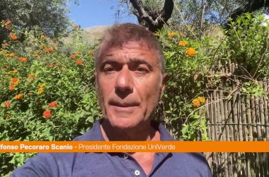 Pecoraro Scanio “Bene pentimento Berlusconi su alberi”