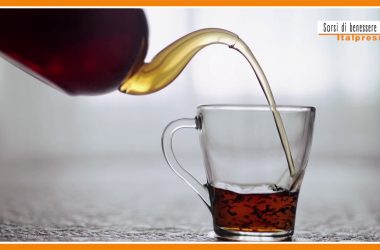 Sorsi di benessere – Infuso di yerba matè? Un drink ideale in estate