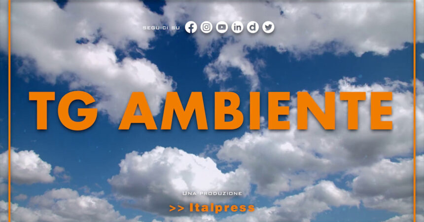 Tg Ambiente – 30/10/2022