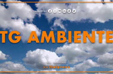 Tg Ambiente – 23/10/2022