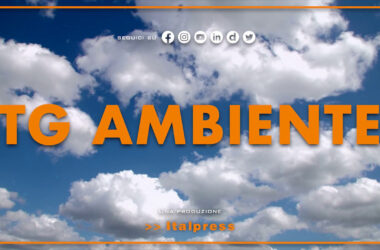 Tg Ambiente – 13/11/2022