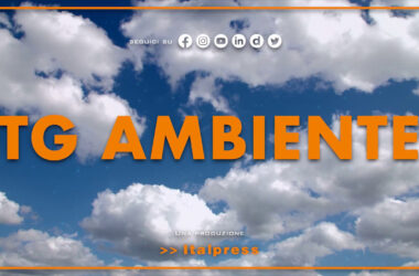 Tg Ambiente – 6/11/2022