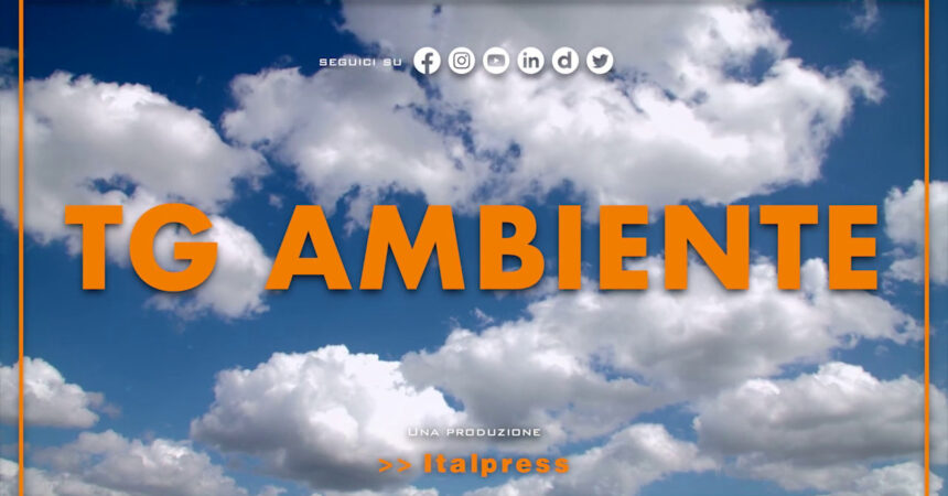 Tg Ambiente – 11/12/2022