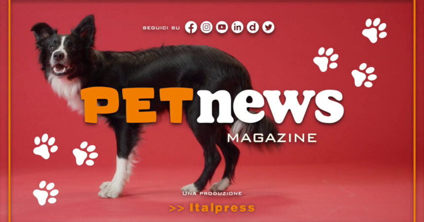 PetNews Magazine – 17/1/2023