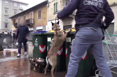 Sgominata piazza di spaccio a Torino