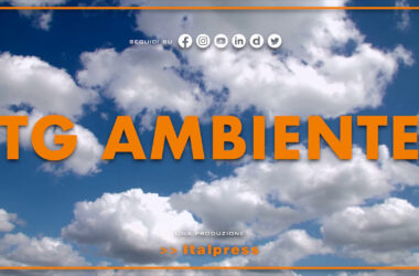 Tg Ambiente – 19/2/2023