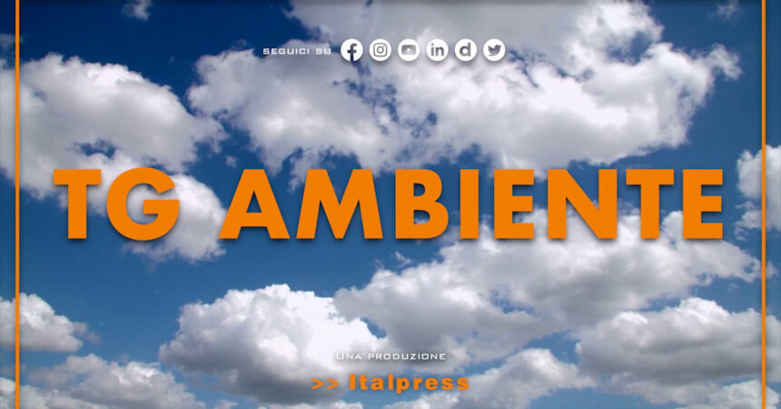 Tg Ambiente – 23/2/2023