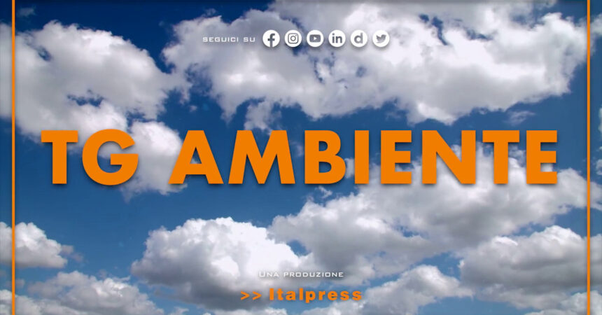 Tg Ambiente – 23/4/2023