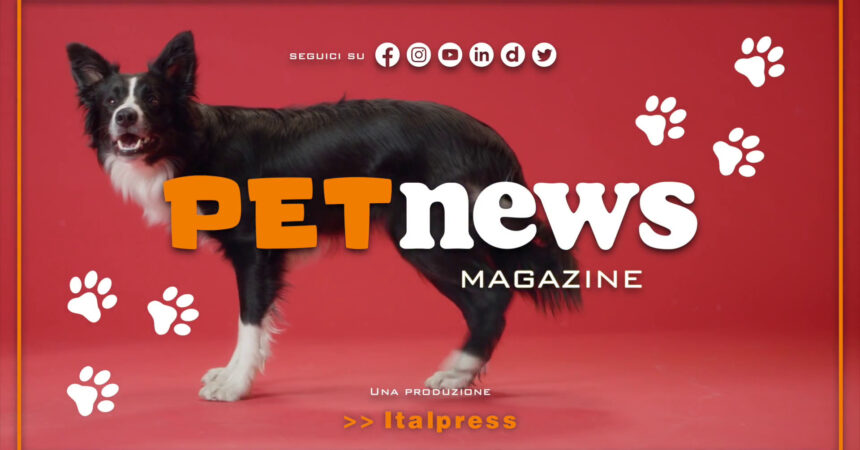 PetNews Magazine – 30/5/2023