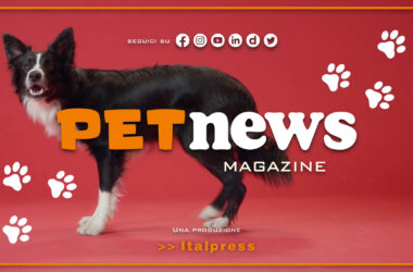 PetNews Magazine – 27/6/2023