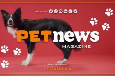 PetNews Magazine – 6/6/2023