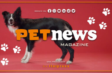 PetNews Magazine – 20/6/2023