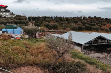 In Calabria sgominata banda dedita al traffico illecito di rifiuti