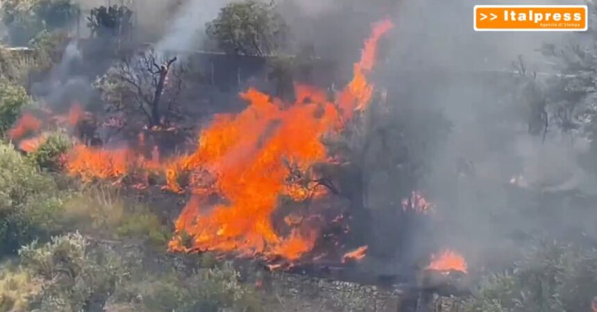 Gli incendi devastano Palermo e la Provincia, tre morti per i roghi