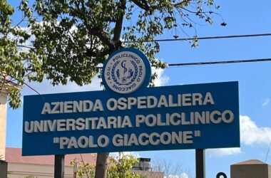 Febbre del Nilo, a Palermo confermata l’infezione su un 54enne