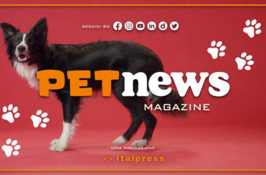 PetNews Magazine – 5/9/2023