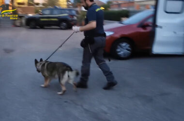 ‘Ndrangheta, furto di auto e spaccio. Sgominata banda a Milano