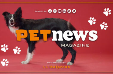 PetNews Magazine – 24/10/2023