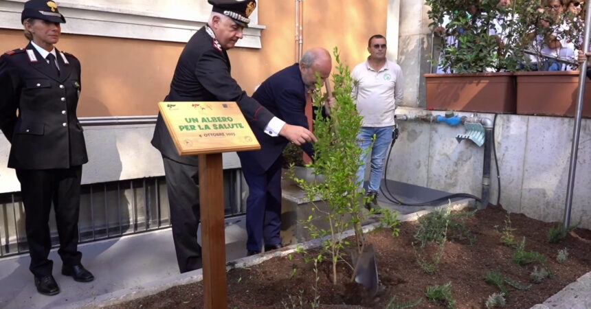 Ospedali più green, al via il progetto “Un albero per la salute”