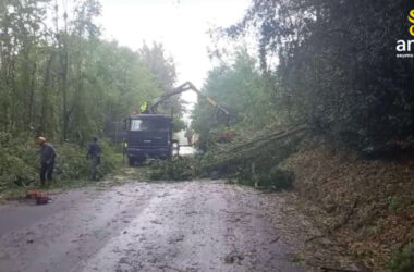 In Toscana chiusa la SS 12 per alberi caduti in carreggiata