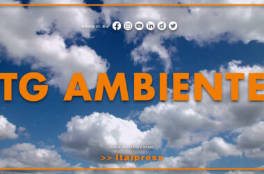 Tg Ambiente – 5/11/2023