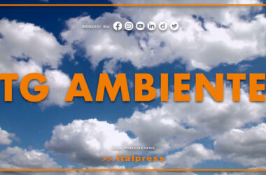 Tg Ambiente – 12/11/2023