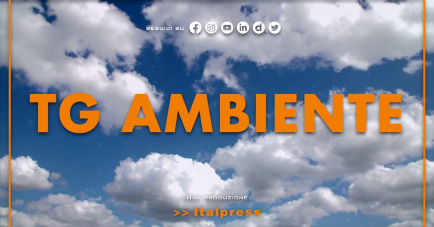 Tg Ambiente – 7/1/2024