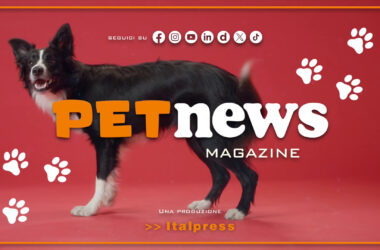 PetNews Magazine – 28/2/2024