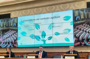 Agrofarma, le aziende investono 30 mln all’anno in ricerca e sviluppo