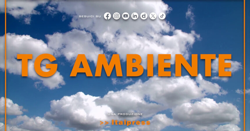 Tg Ambiente – 10/3/2024