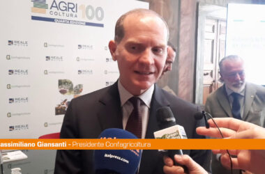 Giansanti “Investire in sostenibilità rende agricoltura competitiva”