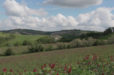 Generali e Gruppo Leone Alato inaugurano l’Oasi Gregorina