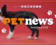 PetNews Magazine – 22/5/2024