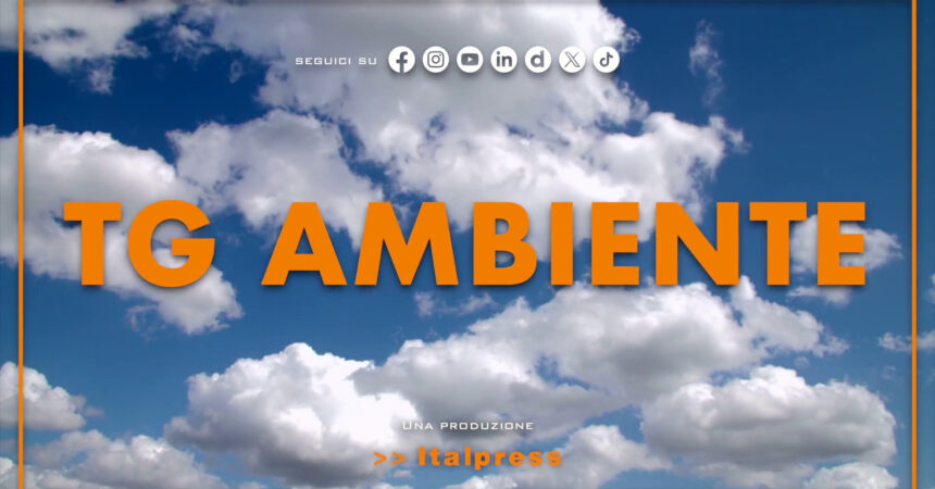 Tg Ambiente – 23/6/2024