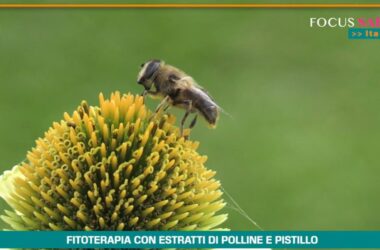 Fitoterapia con polline e pistillo,20 anni di studi dimostrano efficacia