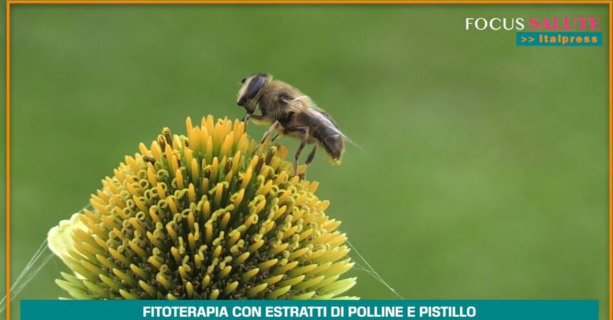 Fitoterapia con polline e pistillo,20 anni di studi dimostrano efficacia