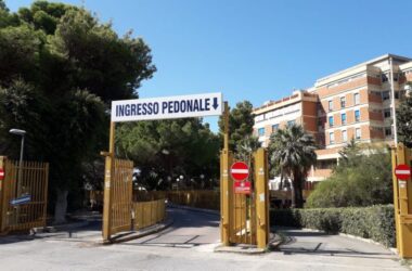 Prelievo multiorgano all’ospedale di Partinico, donati reni e fegato