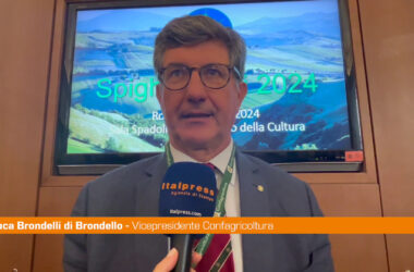 Spighe Verdi, Brondelli di Brondello “Più attenzione ad aree interne”