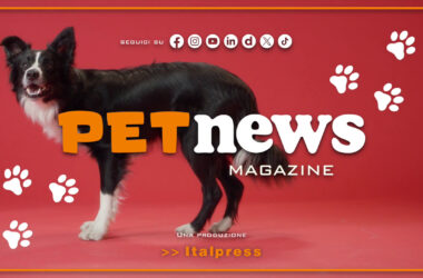 PetNews Magazine – 9/7/2024