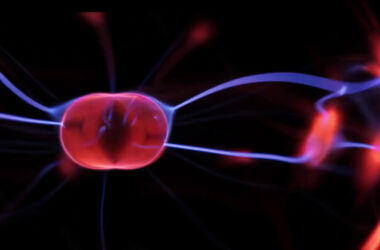 La fotostimolazione per le cellule muscolo-scheletriche