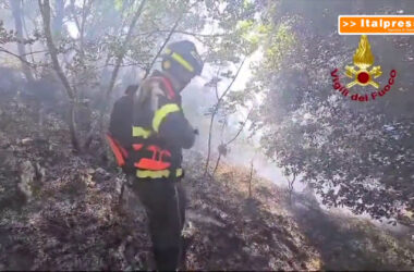 Incendio nel bosco del monte Grisa a Trieste, pompieri in azione