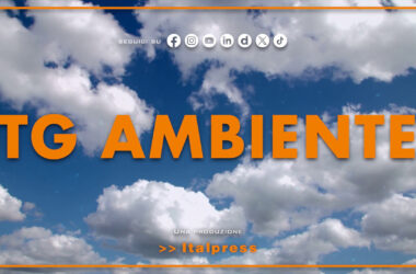 Tg Ambiente – 28/7/2024