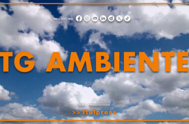 Tg Ambiente – 4/8/2024