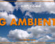 Tg Ambiente – 4/8/2024