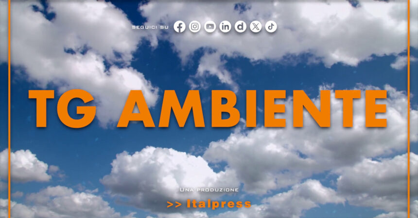 Tg Ambiente – 4/8/2024