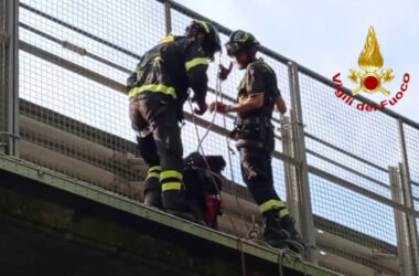 Cane bloccato su un cavalcavia della E45, salvato dai vigili del fuoco