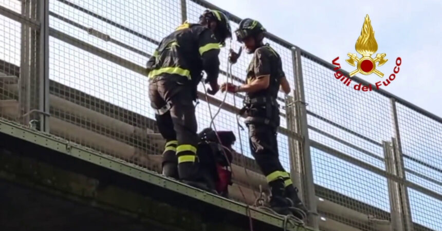 Cane bloccato su un cavalcavia della E45, salvato dai vigili del fuoco